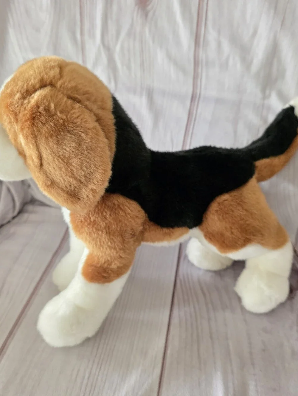 Douglas bernie beagle